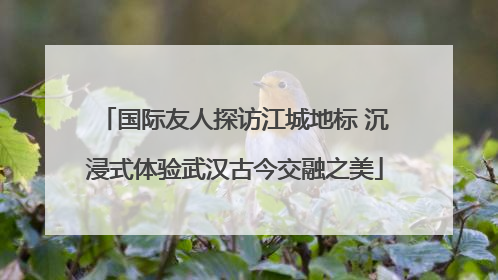国际友人探访江城地标 沉浸式体验武汉古今交融之美