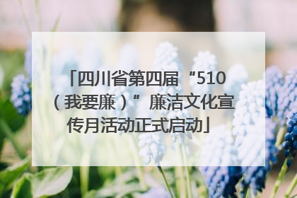 四川省第四届“510（我要廉）”廉洁文化宣传月活动正式启动
