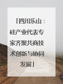 四川乐山：硅产业代表专家齐聚共商技术创新与协同发展