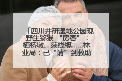 四川井研湿地公园现野生猕猴 “房客”：栖桥墩、荡线缆……林业局：已“请”到救助站，将放归自然