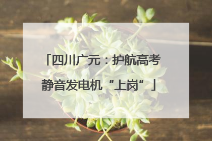 四川广元：护航高考 静音发电机“上岗”