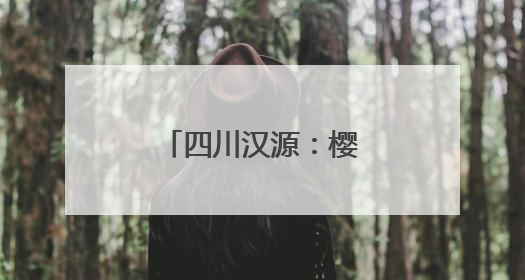 四川汉源：樱桃红 果农忙