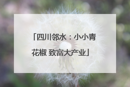 四川邻水：小小青花椒 致富大产业