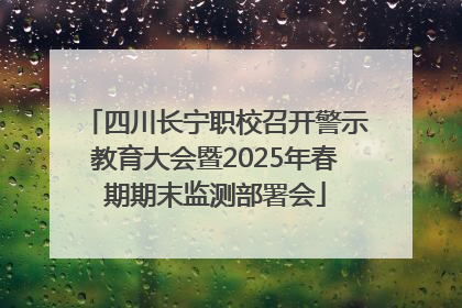 四川长宁职校召开警示教育大会暨2025年春期期末监测部署会