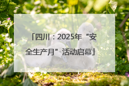 四川：2025年“安全生产月”活动启幕