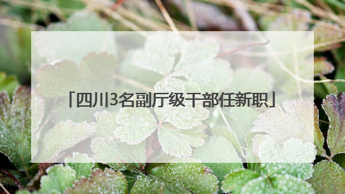 四川3名副厅级干部任新职