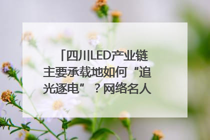 四川LED产业链主要承载地如何“追光逐电”？网络名人走进攀枝花找答案｜网络名人四川行