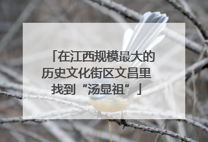 在江西规模最大的历史文化街区文昌里找到“汤显祖”