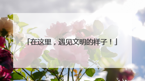 在这里，遇见文明的样子！