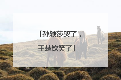 孙颖莎哭了，王楚钦笑了