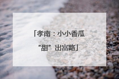 孝南：小小香瓜 “甜”出富路