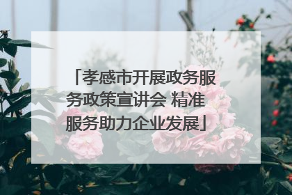 孝感市开展政务服务政策宣讲会 精准服务助力企业发展