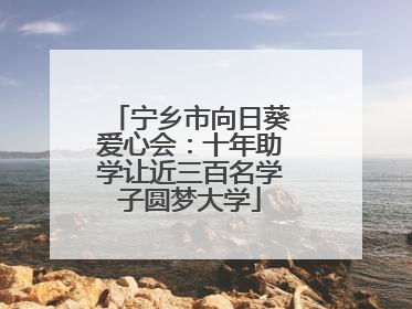 宁乡市向日葵爱心会：十年助学让近三百名学子圆梦大学