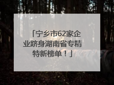 宁乡市62家企业跻身湖南省专精特新榜单！