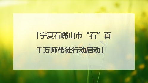 宁夏石嘴山市“石”百千万师带徒行动启动