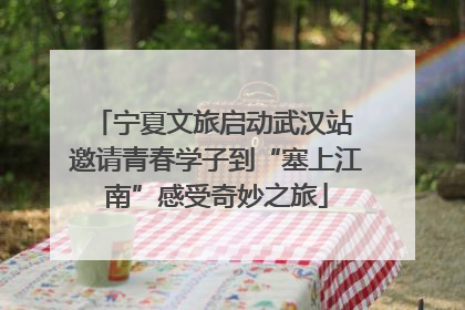 宁夏文旅启动武汉站 邀请青春学子到“塞上江南”感受奇妙之旅