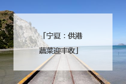 宁夏：供港蔬菜迎丰收