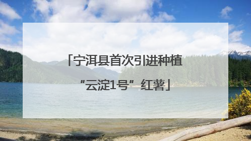宁洱县首次引进种植“云淀1号”红薯
