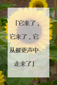 它来了，它来了，它从催更声中走来了
