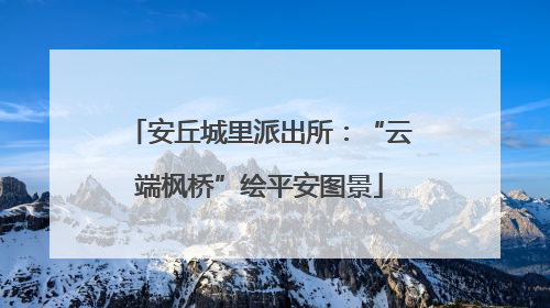 安丘城里派出所：“云端枫桥”绘平安图景