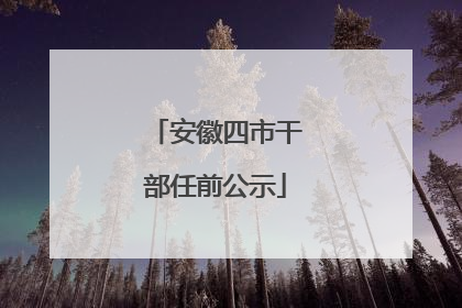 安徽四市干部任前公示