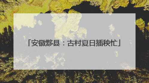 安徽黟县：古村夏日插秧忙