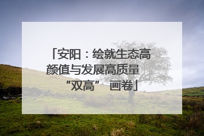 安阳：绘就生态高颜值与发展高质量 “双高” 画卷