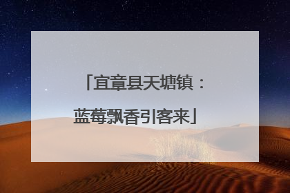 宜章县天塘镇：蓝莓飘香引客来