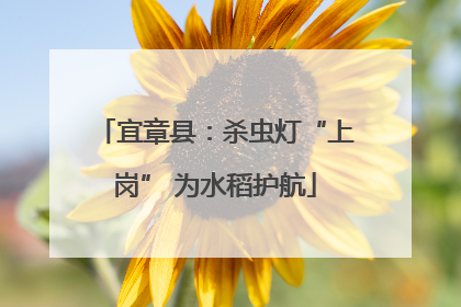 宜章县：杀虫灯“上岗” 为水稻护航