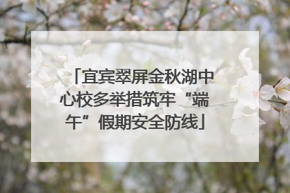 宜宾翠屏金秋湖中心校多举措筑牢“端午”假期安全防线