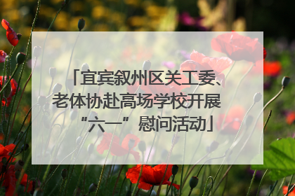 宜宾叙州区关工委、老体协赴高场学校开展“六一”慰问活动