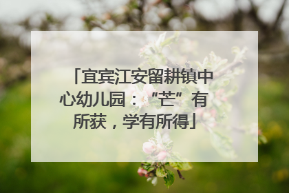 宜宾江安留耕镇中心幼儿园：“芒”有所获，学有所得