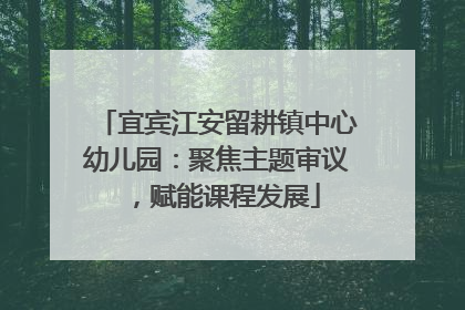 宜宾江安留耕镇中心幼儿园：聚焦主题审议，赋能课程发展