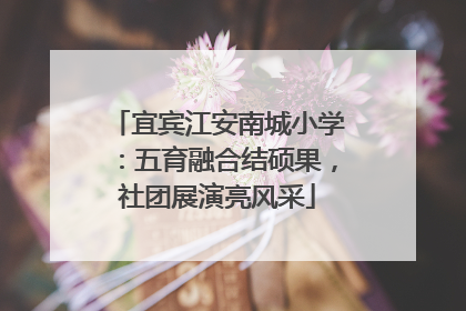 宜宾江安南城小学：五育融合结硕果，社团展演亮风采
