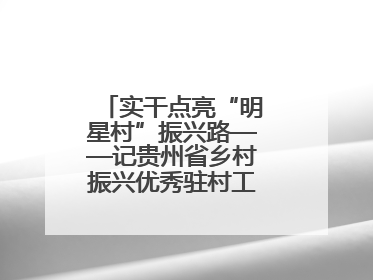 实干点亮“明星村”振兴路——记贵州省乡村振兴优秀驻村工作队员王培欢