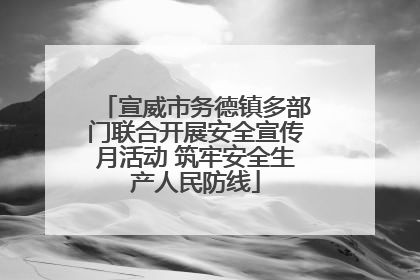 宣威市务德镇多部门联合开展安全宣传月活动 筑牢安全生产人民防线