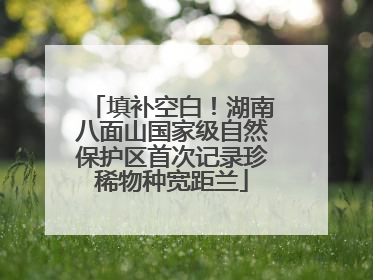 填补空白！湖南八面山国家级自然保护区首次记录珍稀物种宽距兰