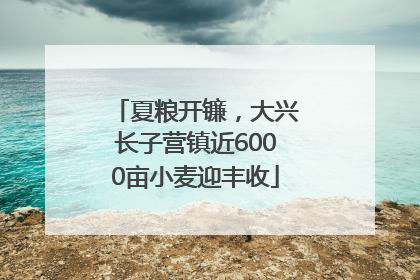 夏粮开镰，大兴长子营镇近6000亩小麦迎丰收