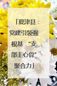 夏津县：党建引领强根基 “支部主心骨”聚合力