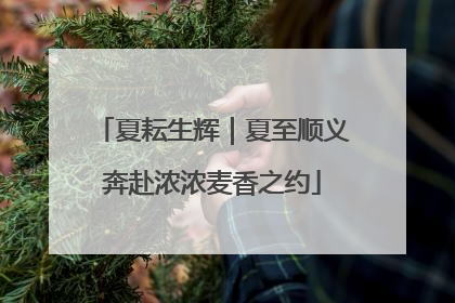 夏耘生辉｜夏至顺义奔赴浓浓麦香之约