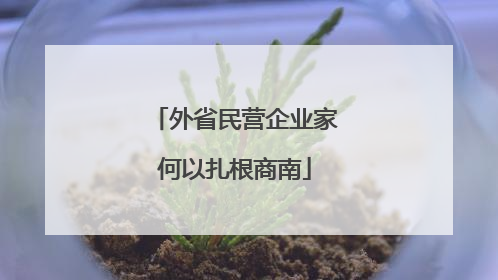 外省民营企业家何以扎根商南