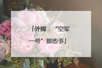 外媒：“空军一号”那些事