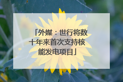 外媒：世行将数十年来首次支持核能发电项目