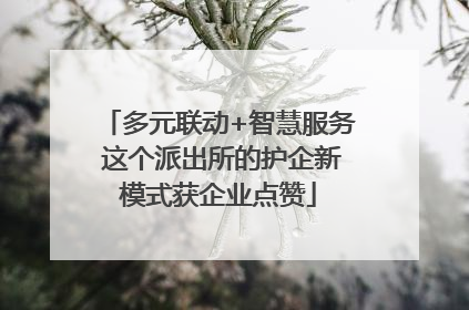 多元联动+智慧服务 这个派出所的护企新模式获企业点赞