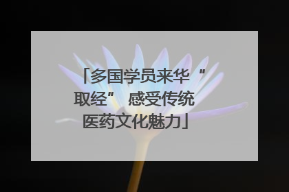 多国学员来华“取经” 感受传统医药文化魅力