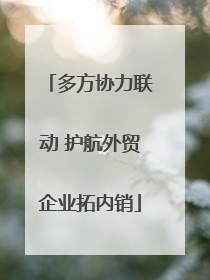 多方协力联动 护航外贸企业拓内销