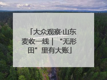 大众观察·山东麦收一线｜“无形田”里有大账