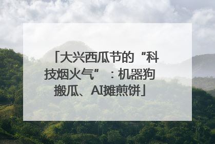 大兴西瓜节的“科技烟火气”：机器狗搬瓜、AI摊煎饼