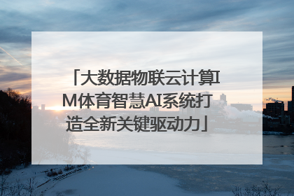 大数据物联云计算IM体育智慧AI系统打造全新关键驱动力