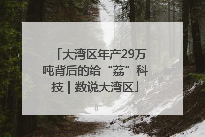 大湾区年产29万吨背后的给“荔”科技｜数说大湾区